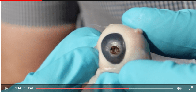 Screen Shot 2017-08-21 at 8.31.51 AM.png